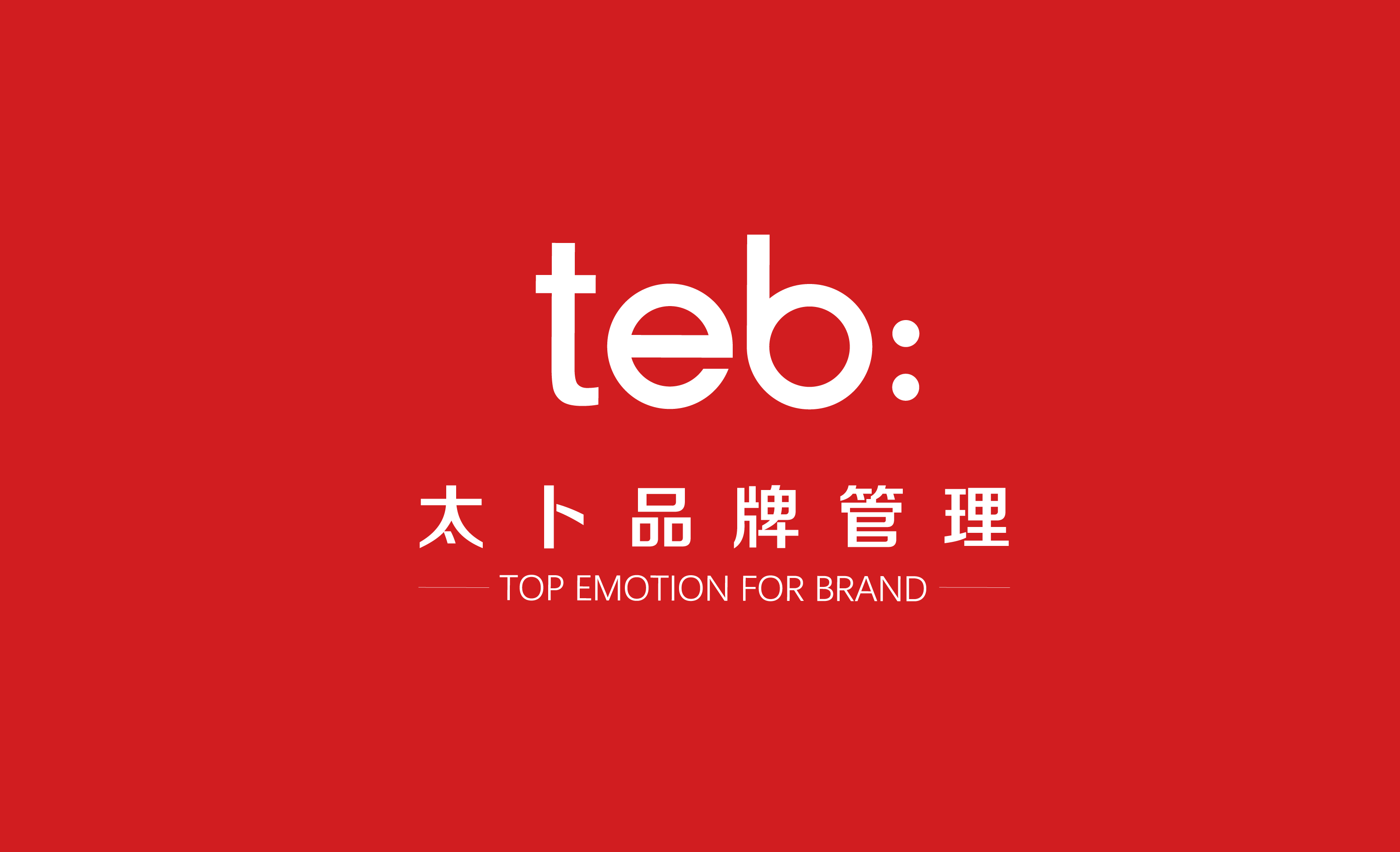 TEB 太卜品牌中英文标识